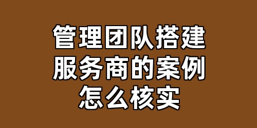 管理团队搭建服务商的案例怎么核实